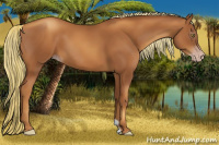 Horse Color:Gray Gold Champagne 