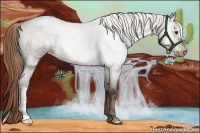 Horse Color:Liver Red Roan 