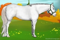 Horse Color:White Spotted Liver Red Dun Splash Tobiano 