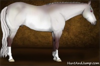 Horse Color:Chocolate Silver Brown Chinchilla 