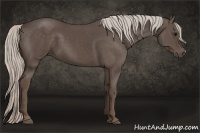 Horse Color:Silver Black 