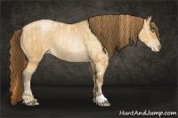 Horse Color:Buckskin Roan Pearl and Gray Buckskin Roan Pearl