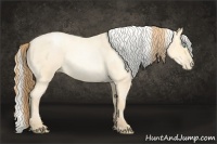 Horse Color:Buckskin Roan Pearl  and Silver Buckskin Roan Pearl 