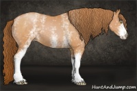 Horse Color:White Spotted Bay Pearl 