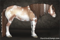 Horse Color:White Spotted Brown Pearl Onyx Sabino