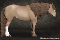 Horse Color:Black Pearl Rabicano