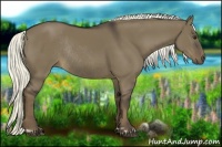 Horse Color:Liver Red Dun Rabicano 