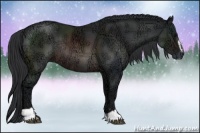 Horse Color:Brown Ice Sabino Rabicano 