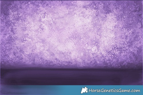 Horse Color:Classic Champagne Ice Roan Splash 