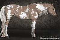Horse Color:White Spotted Chocolate Silver Smoky Black 