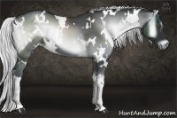 Horse Color:White Spotted Silver Smoky Blue Onyx Chinchilla 