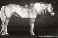 Horse Color:White Spotted Chocolate Silver Smoky Blue Onyx Chinchilla 