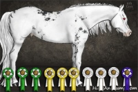 Horse Color:Silver Smoky Black Chinchilla Sabino 