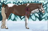 Horse Color:Liver Chestnut Sabino Tobiano 