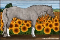 Horse Color:Silver Blue Roan