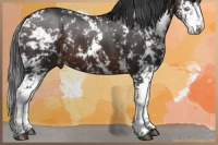 Horse Color:Brown Sabino