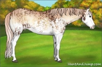 Horse Color:Red Onyx Splash and Gold Champagne Onyx Splash