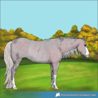 Horse Color:Watercolor Silver Grullo Ice Rabicano 
