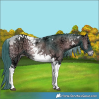 Horse Color:Watercolor Blue Onyx Ice Tobiano 