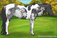 Horse Color:Smoky Black Ice Tobiano 