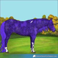 Horse Color:Watercolor Black Ice Tobiano 