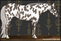 Horse Color:Silver Smoky Black Appaloosa 