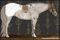 Horse Color:Chocolate Palomino Snowcap 