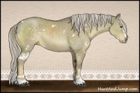 Horse Color:White Spotted Chocolate Palomino Dun Sabino Splash 