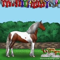 Horse Color:Silver Brown Tobiano 