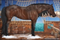 Horse Color:Brown  and Brown 