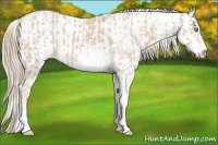 Horse Color:Smoky Creme Sabino and Smoky Creme Sabino