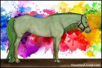 Horse Color:Watercolor Liver Red Dun Roan 