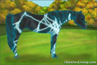 Horse Color:Gray Thunderstruck Black 