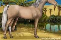 Horse Color:Silver Brown Pearl 