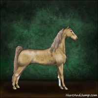 Horse Color:Chocolate Palomino Dun Sabino 