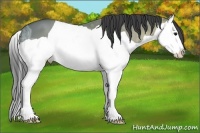 Horse Color:Smoky Grullo Ice Splash 