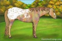 Horse Color:Nacre Chestnut Varnish 
