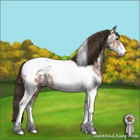 Horse Color:Buckskin Ice Sabino Tobiano Appaloosa