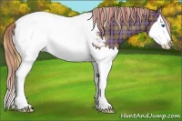 Horse Color:Plaid  Liver Chestnut Sabino Splash Appaloosa 