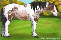 Horse Color:Bay Ice Splash Tobiano Varnish 