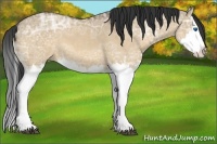 Horse Color:Bay Ice Dun Sabino Splash
