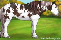 Horse Color:Gray Painted White Spotted Bay Splash