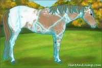 Horse Color:Thunderstruck Chestnut Ice Sabino Appaloosa Rabicano
