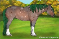 Horse Color:Painted Brown 