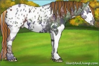 Horse Color:Painted Nacre Black Ice Splash Appaloosa 