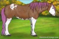 Horse Color:Painted Chestnut Sabino Splash Appaloosa