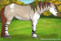 Horse Color:Painted Brown Dun Sabino Splash Appaloosa