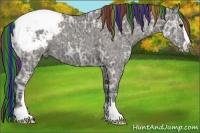 Horse Color:Painted Grullo Ice Sabino Snowcap 