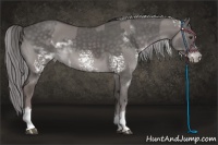 Horse Color:Platinum White Spotted Liver Red Dun Sabino Splash  and Platinum White Spotted Chocolate Palomino Sabino Splash Frame 