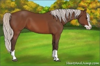 Horse Color:Silver Brown Splash